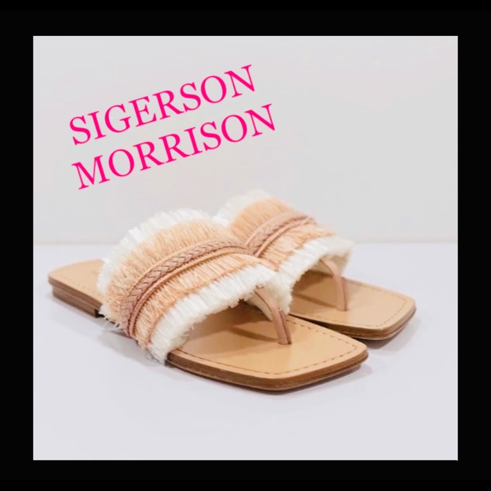SIGERSON MORRISON - SLIDES